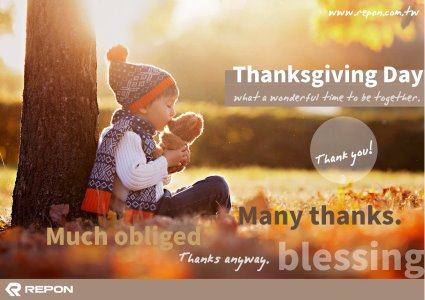 Happy Thanksgiving Day !